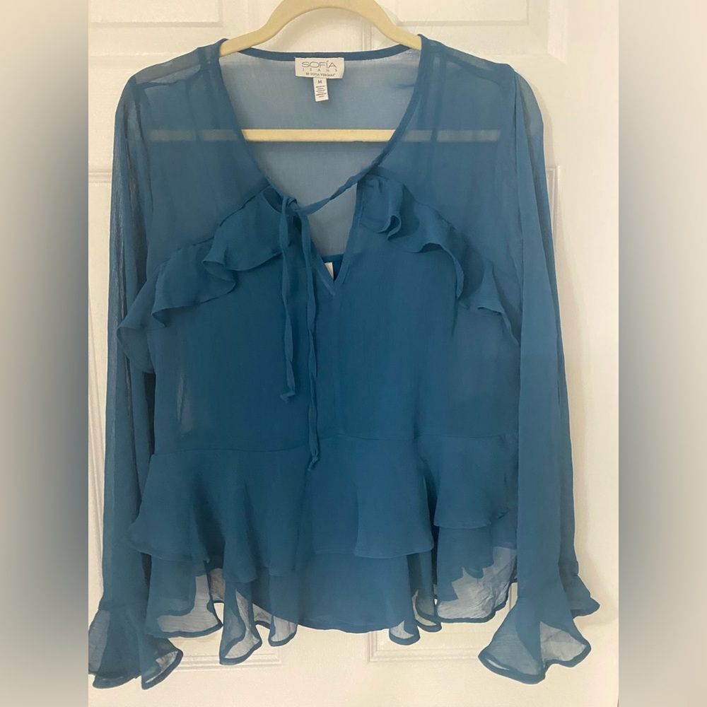 Sophia Vergara Ruffly Elegant Blue Sheer Blouse size M